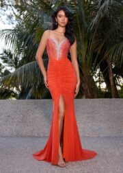 Serafina Gown - Image 8